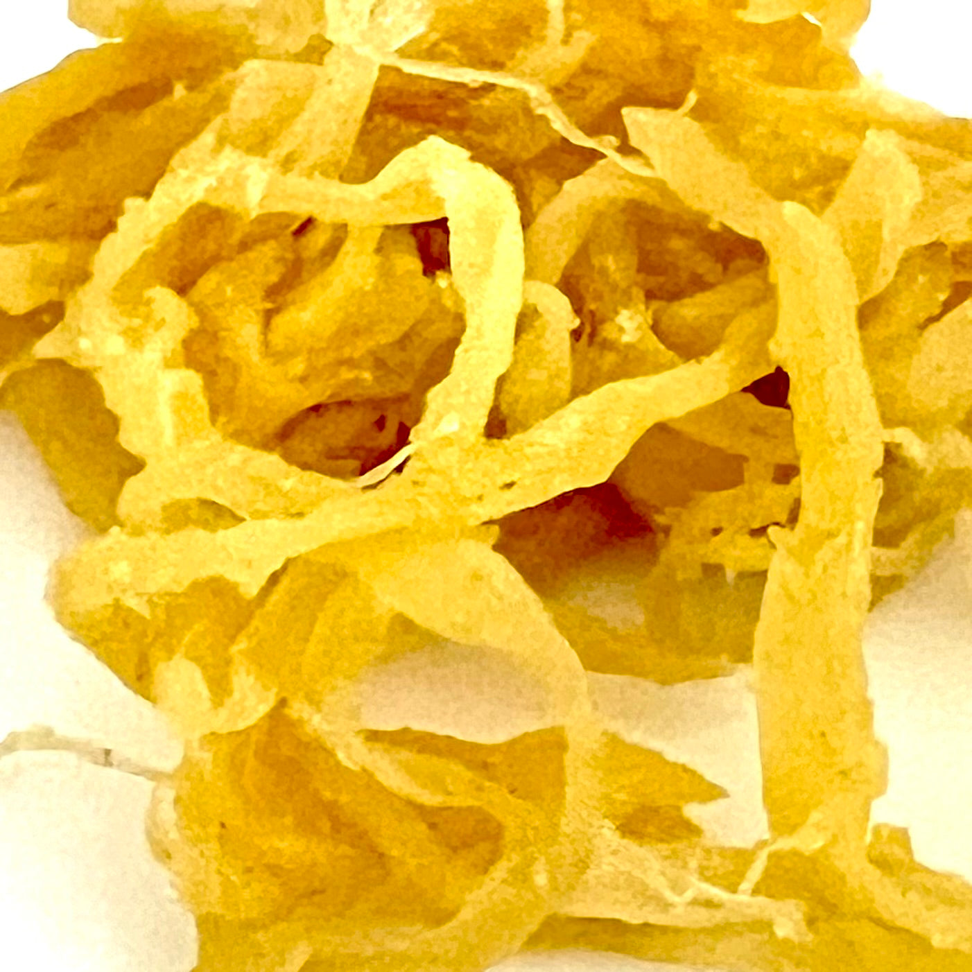 Yuzu Pepper Ika - Wholesale Unlimited Inc.