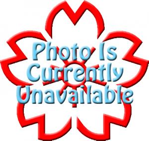 Tamarind Candy - Wholesale Unlimited Inc.