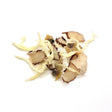 Seafood Combo - Wholesale Unlimited Inc.